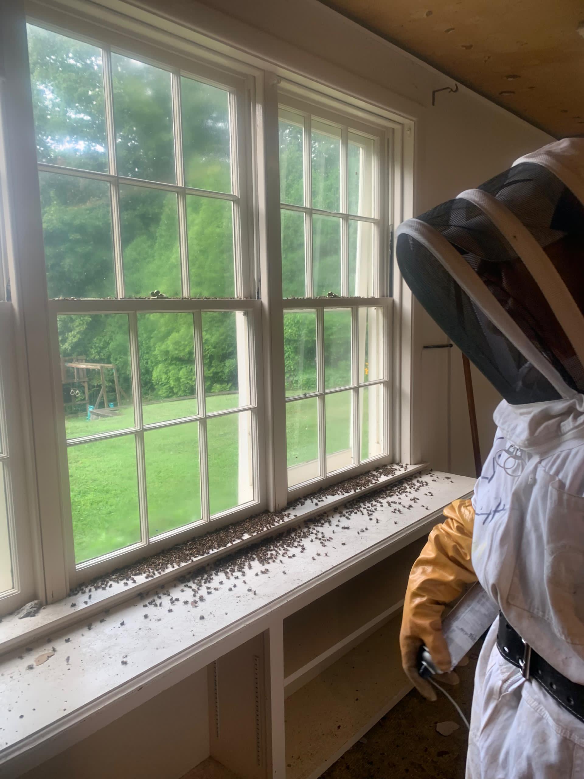 Atlas Pest Control Protection